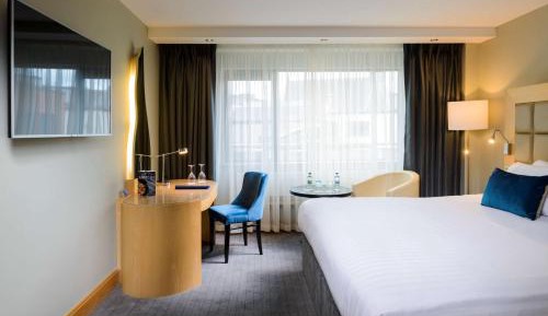 Superior Room with River view