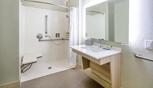 King Room - Disability Access Roll in Shower