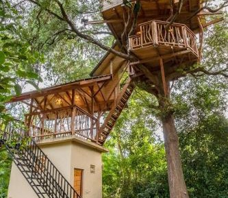 Deluxe Tree House with View  2 Adults + 1 Child)