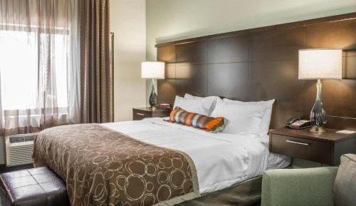 One-Bedroom Queen Suite