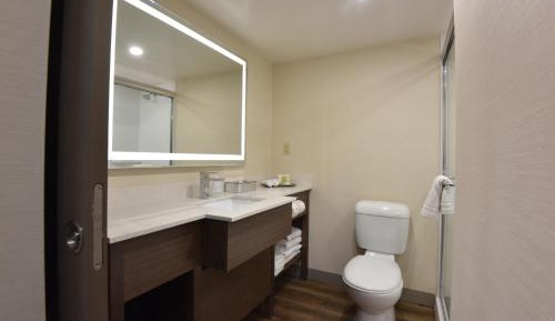 Corporate Floor - Business King Room