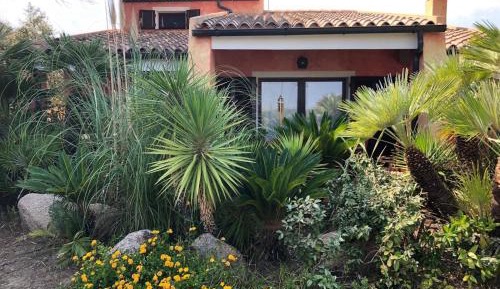 Villa with Garden View