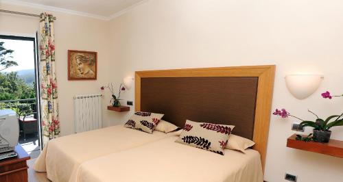 Single Room with Mountain View