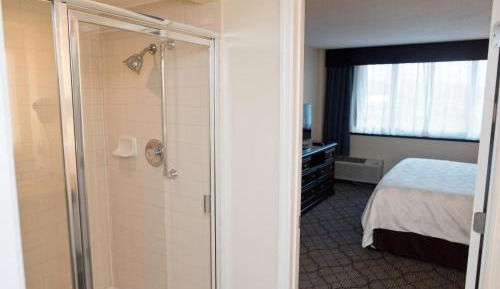 Standard King Room with Sofa Bed