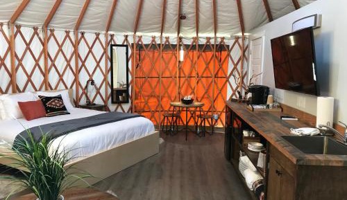 Elm Yurt