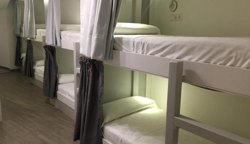 Bunk Bed in Mixed Dormitory Room