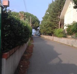 Apartment with Garden View