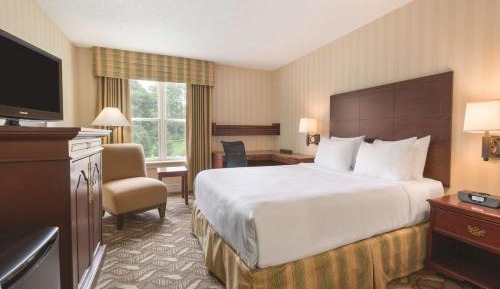 Executive Queen Room with Park View - Non-Smoking