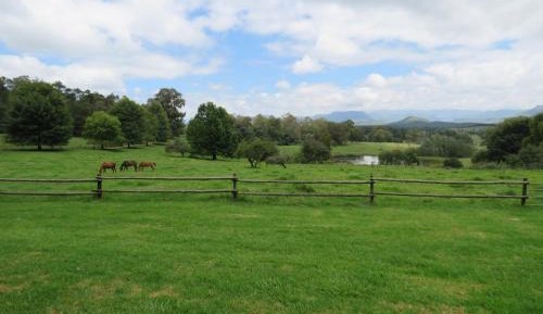 Deluxe Double Room with Shower