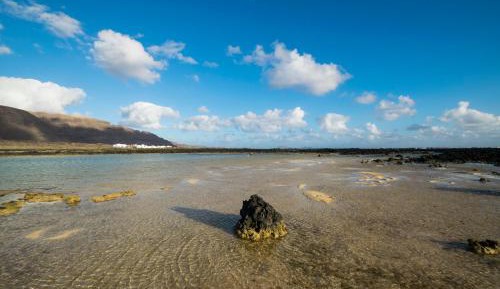 Apartment - Split Level