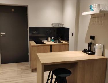 Studio Apartment