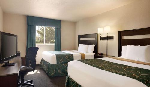 Queen Room with Two Queen Beds - Non-Smoking