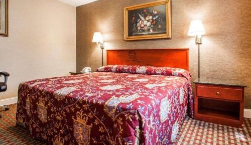 Standard King Room - Non-Smoking 