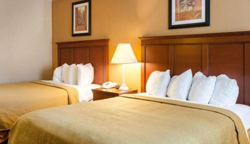 Queen Room with Two Queen Beds - Non-Smoking