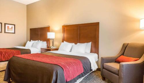 Queen Room with Two Queen Beds - Disability Access/Non-Smoking
