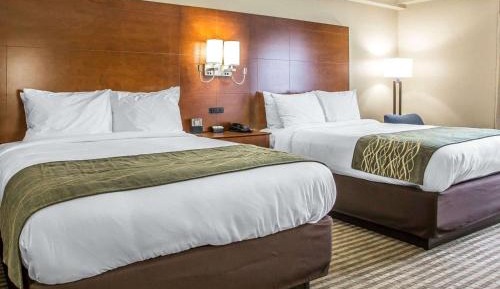 Queen Room with Two Queen Beds - Non-Smoking