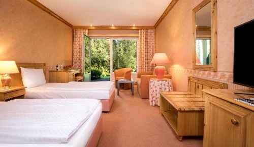 Single Room with Forest View