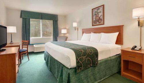 King Room - Non-Smoking