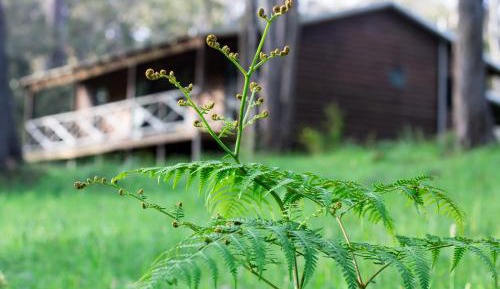 Three-Bedroom Chalet - Boberlup