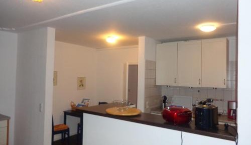 Apartment with Shower