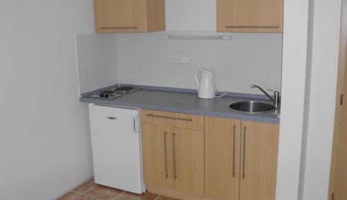 One-Bedroom Apartment (4 Adults)