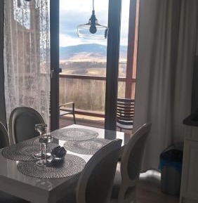 Deluxe One-Bedroom Apartment