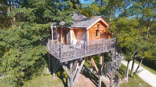 Chateau dans les arbres