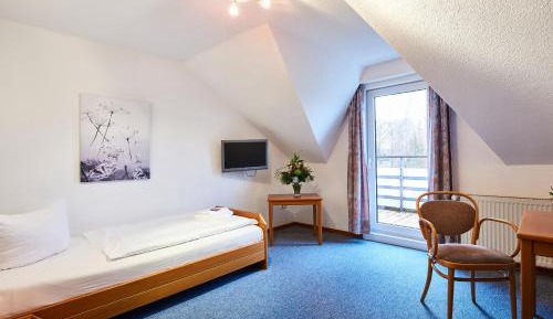 Single Room with Balcony