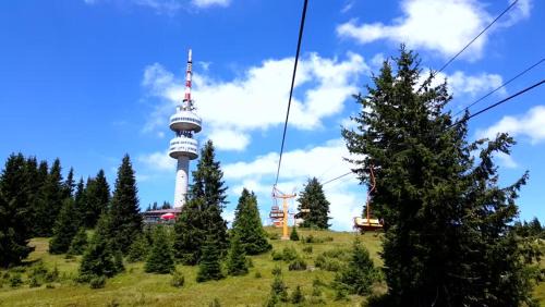 Apartment with Mountain View