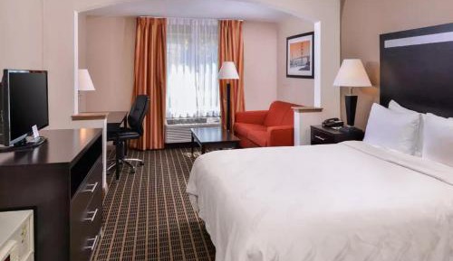 Queen Suite