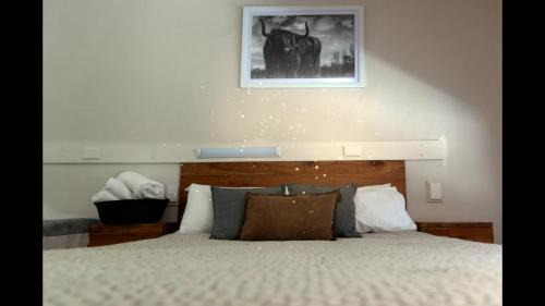 Executive Suite - No Pets