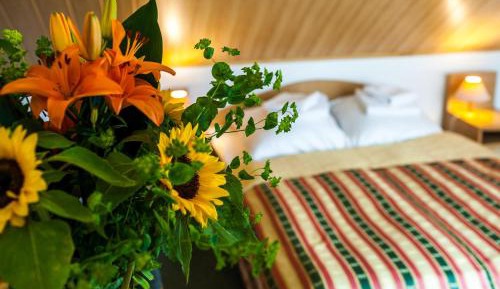 Standard Double Suite