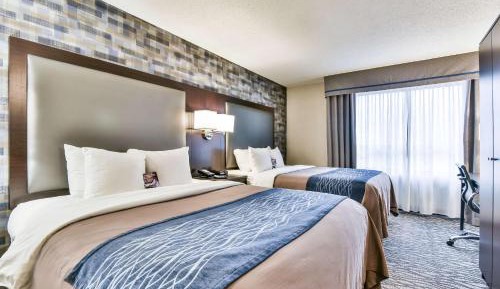 Superior Queen Room with Two Queen Beds