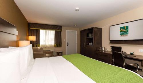 Executive King Room - Non-Smoking