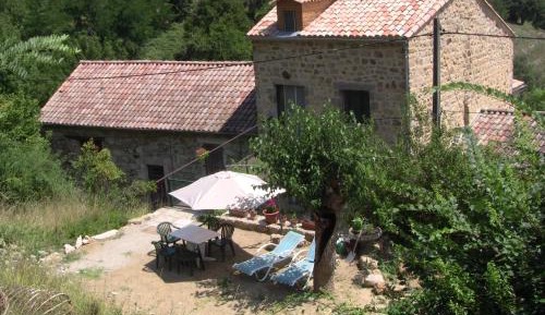 One-Bedroom Apartment with Mezzanine