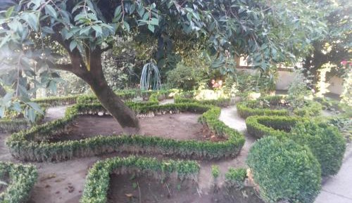 Superior Twin Room with Garden View