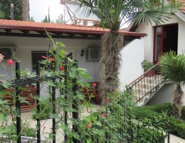 Apartment with Garden View