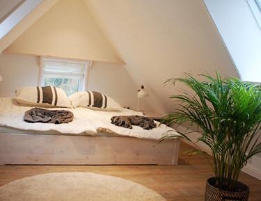 Apartment - Split Level