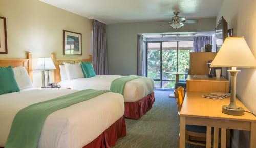 Queen Room with Two Queen Beds