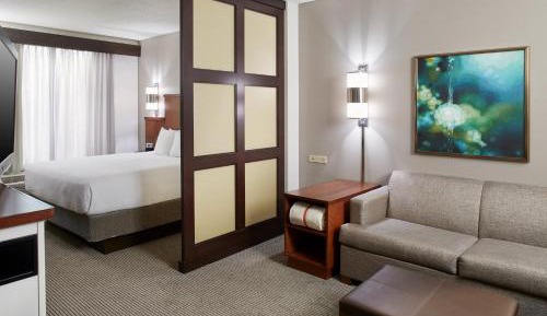 King Room with Sofa Bed and Accessible Tub - Disability Access