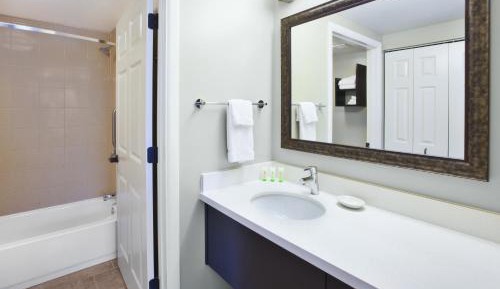 One-Bedroom Suite with Sofa Bed