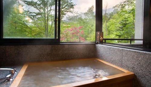 Superior Twin Room with Private Bathroom with Mountain View