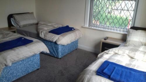 Economy Triple Room