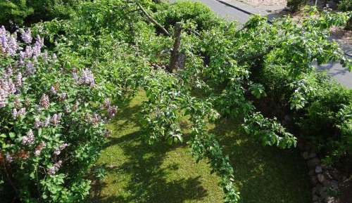 Apartment with Garden View