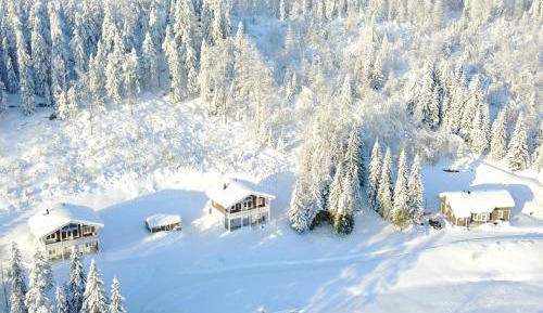 Three-Bedroom Villa with Sauna (10 Adults)