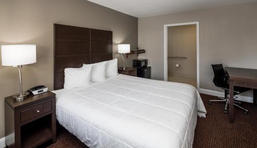 Queen Room - Disability Access/Non-Smoking