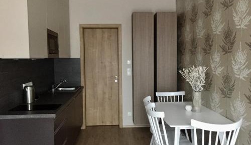Apartment with Terrace