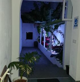 Green House
