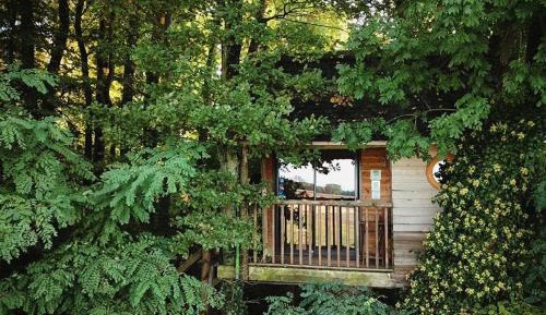 Tree House (2 Adults)