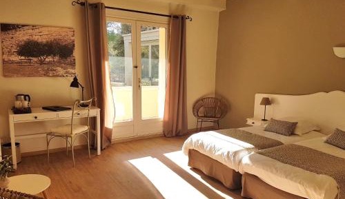 Superior Double or Twin Room with Terrace and Park View